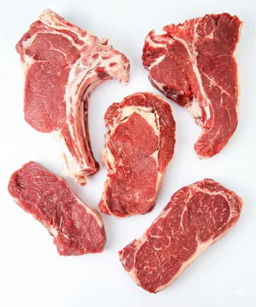 animal-protein-six